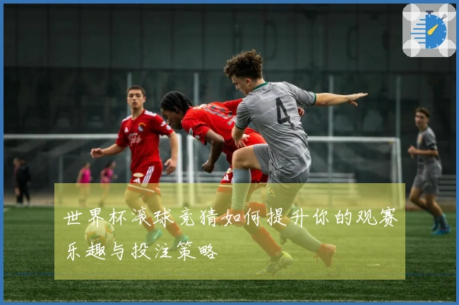 世界杯滚球竞猜如何提升你的观赛乐趣与投注策略