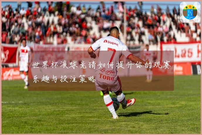 世界杯滚球竞猜如何提升你的观赛乐趣与投注策略