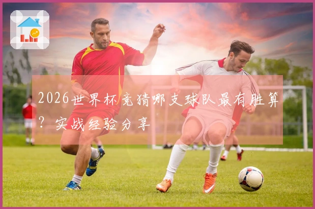 2026世界杯竞猜哪支球队最有胜算？实战经验分享