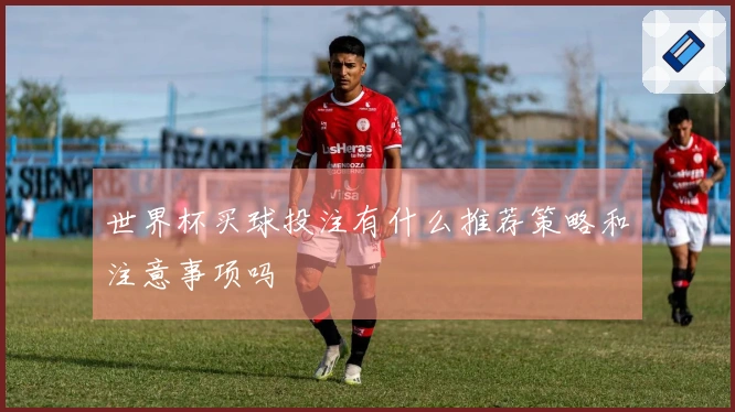 世界杯买球投注有什么推荐策略和注意事项吗