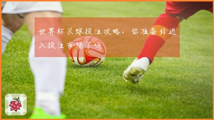 世界杯买球投注攻略，你准备好进入投注市场了吗