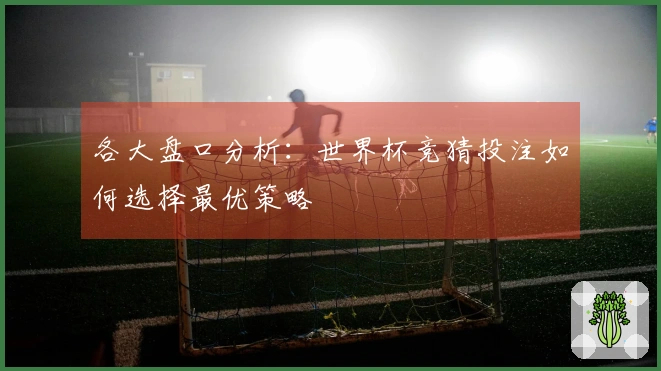 各大盘口分析：世界杯竞猜投注如何选择最优策略