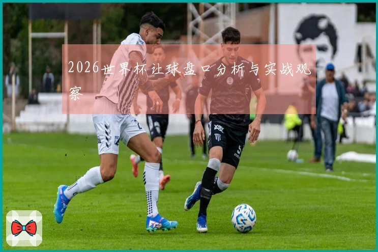 2026世界杯让球盘口分析与实战观察
