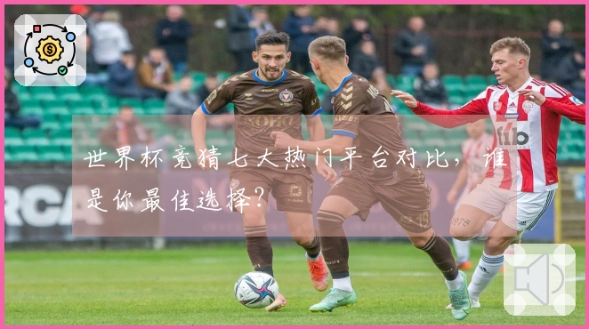 世界杯竞猜七大热门平台对比，谁是你最佳选择？