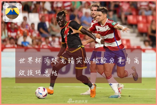 世界杯买球竞猜实战经验分享与高效技巧总结